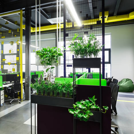 Växter i kontorsmiljö