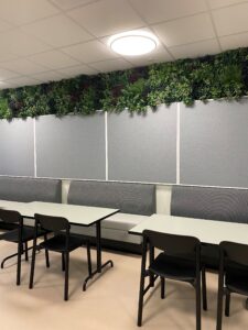 Växtinredning i skolmiljö med konstväxter ovanför ljudabsorberande väggpaneler i matsal