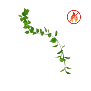 Brandsäker konstgjord gullranka girlang med gröna blad och integrerat flamskydd (IFR)