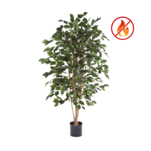 Brandsäker konstgjord Ficus Exotica med naturtrogna stammar, grönt bladverk och integrerat flamskydd (IFR)